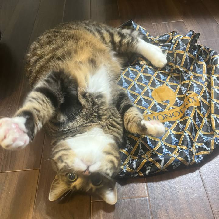 47b2dbba 2657 43bd a83e da5bf32b9e20 1748517693258