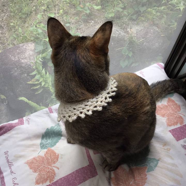 47b30ea2 228c 4a95 824f e86c60e223b3 1589431045928