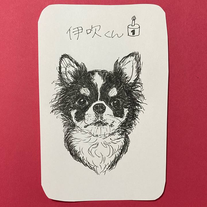 47b322e2 10b2 415f bbb8 c1a37e840bcf 1625978173443