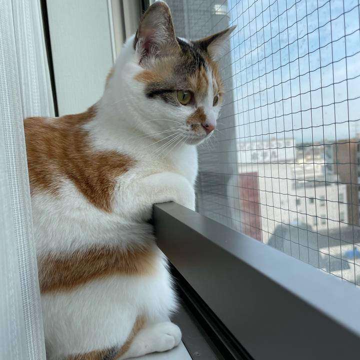 47b327fd b4d4 43f2 8f3c 19951acbe33b 1617841317191