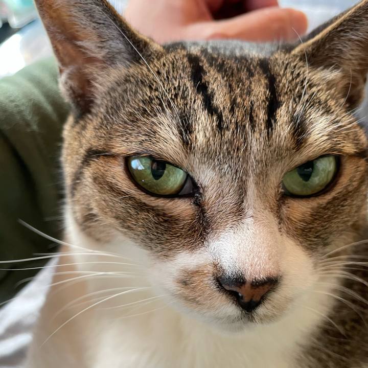 47b3484b 9bf5 4b84 9a1e 8ffd9524c1ae 1637286450219