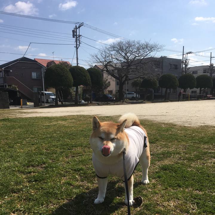 47b350aa fae8 4c6c aff4 ac1e42233d67 1552360497763