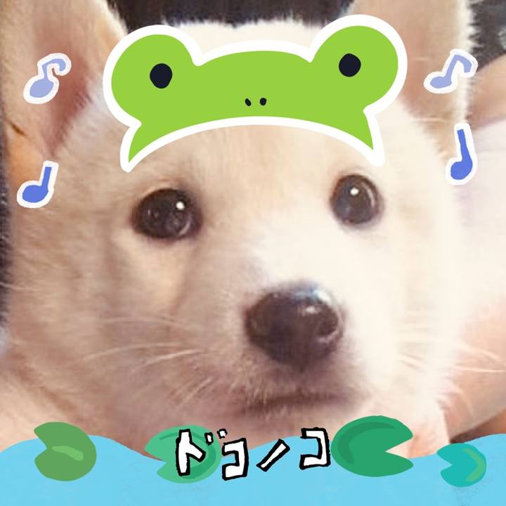 47b3d0bf 8444 46b8 8c29 43a0555ba4fe 1717841137707