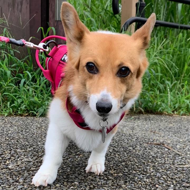 47b4168b 2f95 4860 81f8 3e4946025be5 1595977922647