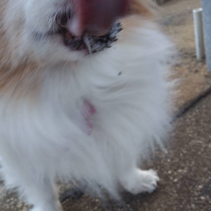 47b41d7f 2d83 41ad 90f2 97bd8d2b6c28 1580213902865