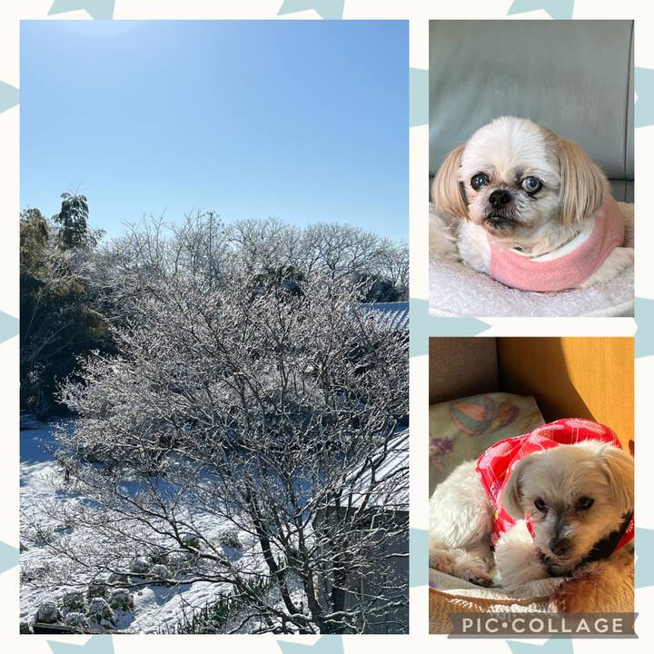 47b45529 c599 467d 8a78 50cae7c40e71 1705193299902