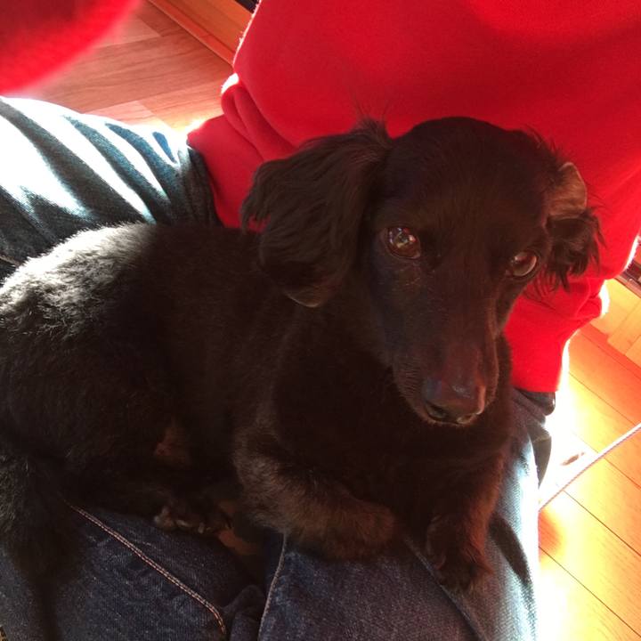 47b45e0b 9001 45fe a779 2fe24d0a3b4e 1509836289411