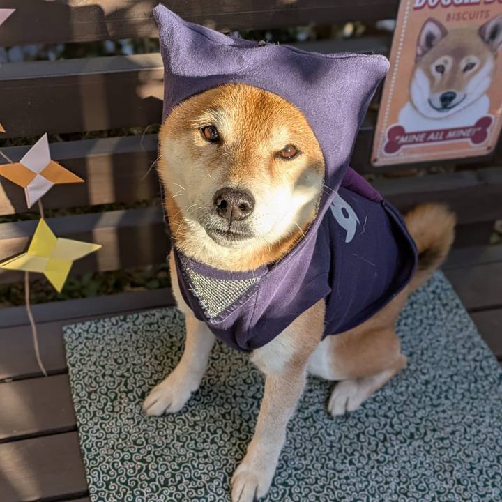 47b47a71 1c0f 4cd7 9dc6 e046a6ec67a8 1739316488464