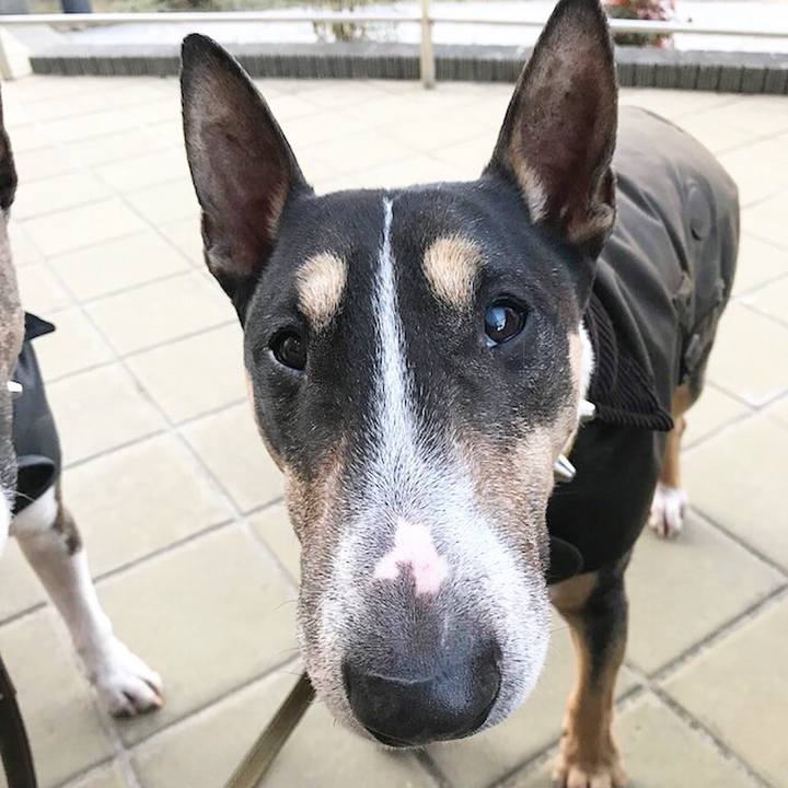 47b4884f 23bf 424e 8f0c f3ae296ff5e0 1515920711142