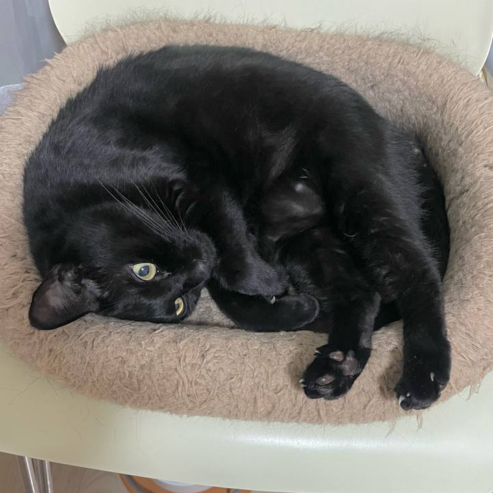 47b4caeb 61cc 47b3 b56b 4b08a8ced680 1728307329135