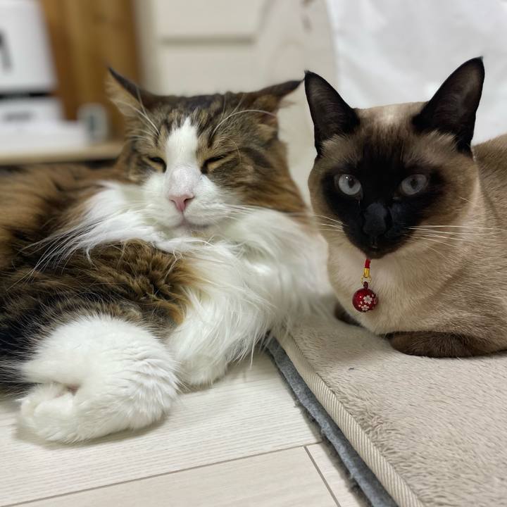 47b4d376 b5eb 4905 b5bc 6e08851faa26 1738395933420