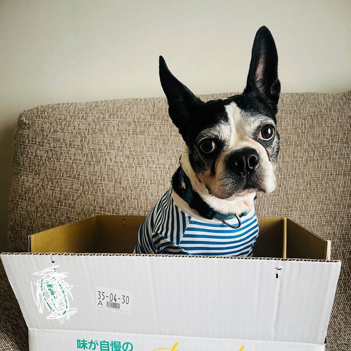 47b4eb2a 6b47 4b14 83ec 7ecfeee1dccc 1772583527500