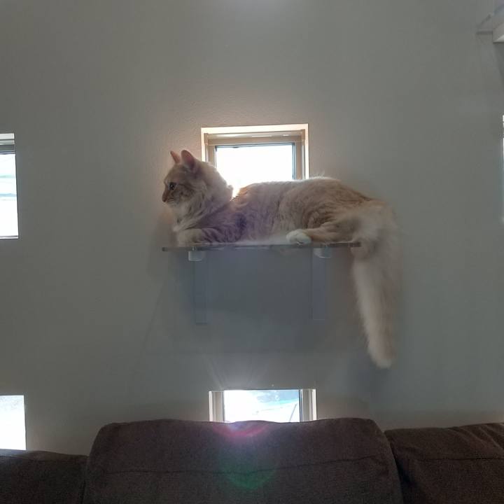 47b4f6e5 bb32 4b34 bab1 243dd6fddac0 1632871111599