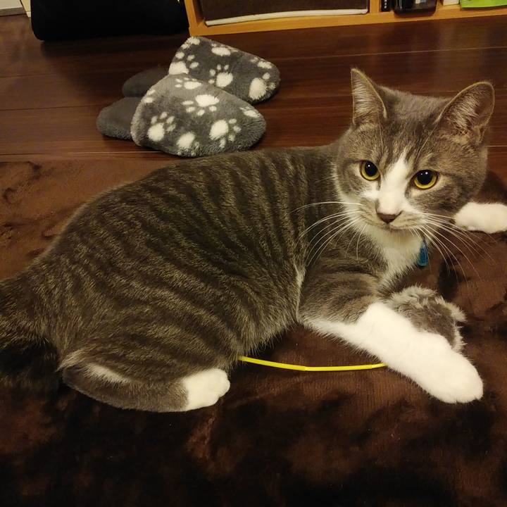 47b5105e b019 48a0 9910 49520dcac040 1581674359088