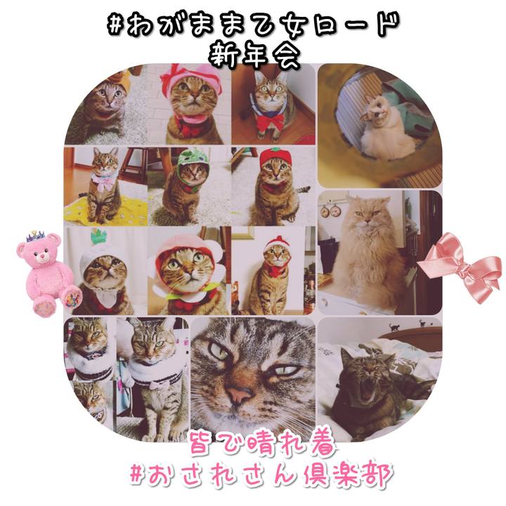 47b51169 d4e0 43f4 a031 0437f9995de1 1577792563579