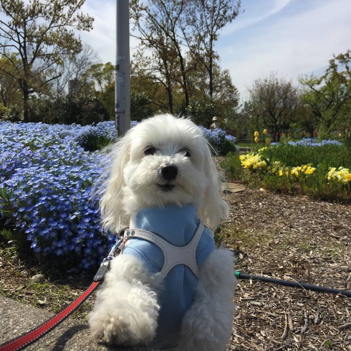 47b518c9 b0d5 4ba6 931a c9f5dd59c9b8 1555393699953