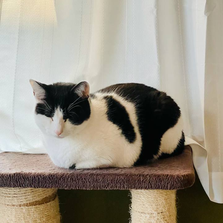 47b51e28 bde6 4b97 aa59 03b974a39996 1616118642596