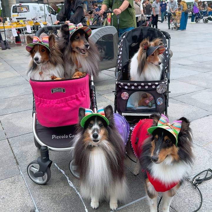 47b53390 1db0 4ea7 b335 a5e2a0d5acb3 1760891826250