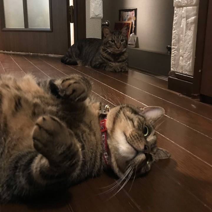 47b5858b f4fa 41af 8e8b 4458c8d981e3 1568644306630