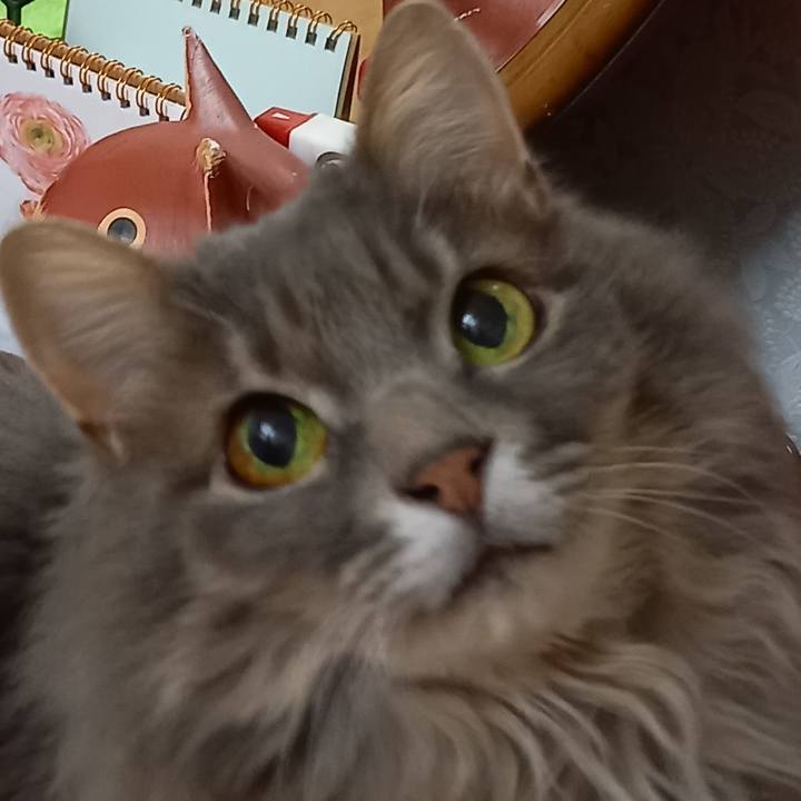 47b5c690 1c05 4649 8717 865983fa2c00 1616847616498