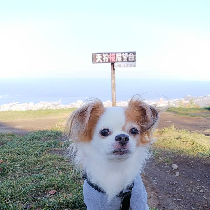 47b5c897 8966 48be a0a0 f8255a2836ab 1509018292196