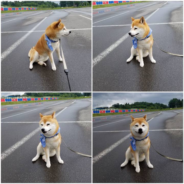 47b5e6db 8b4d 4c26 8e10 d363e2b5e874 1559970063845