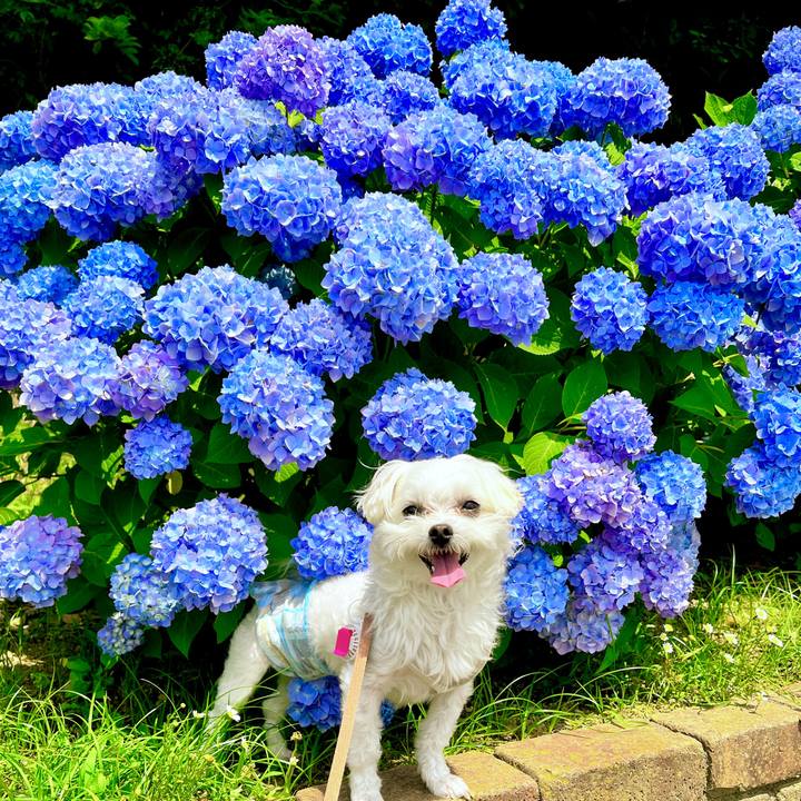 47b60880 2f25 497c 94fc ebdf3454ade7 1685349120256