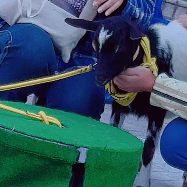 47b61c02 0bcd 4f36 963f ec174b08e2eb 1700383999303