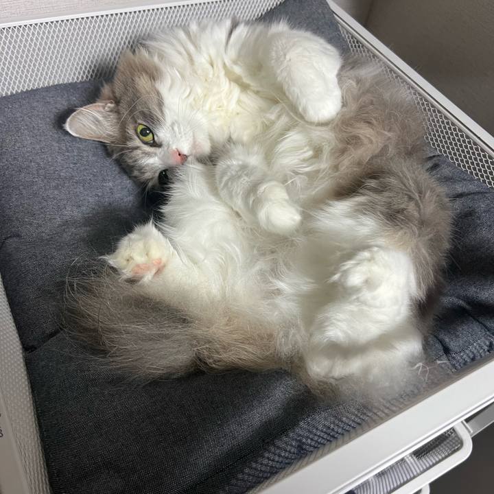 47b61edd a945 4200 9ba4 f6c97a86a42b 1767237354231