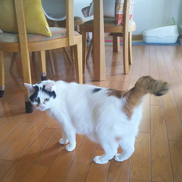 47b64799 5ab5 4db7 8a07 9c95be511940 1534029247694