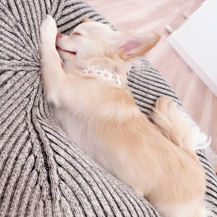 47b686b8 fc5d 45d9 81c4 163b87d11625 1693212594686