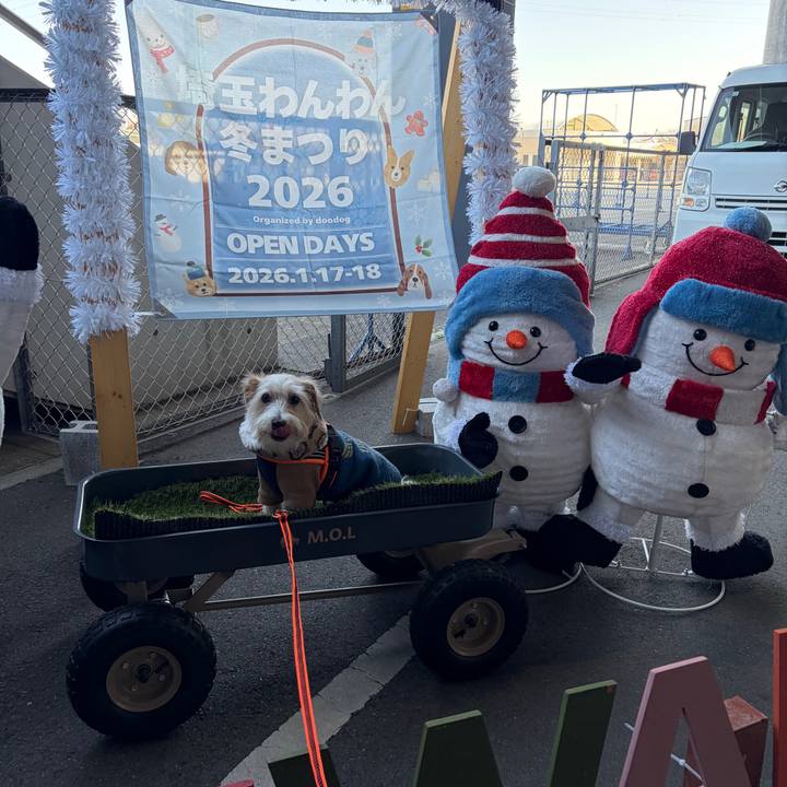 47b6dd2c 593e 4171 8c48 05f942774f8b 1768616561923