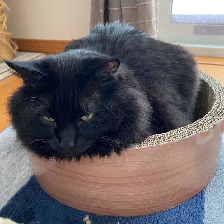 47b71abe 694d 4dbe b1dd 04248dde2f59 1610117645437