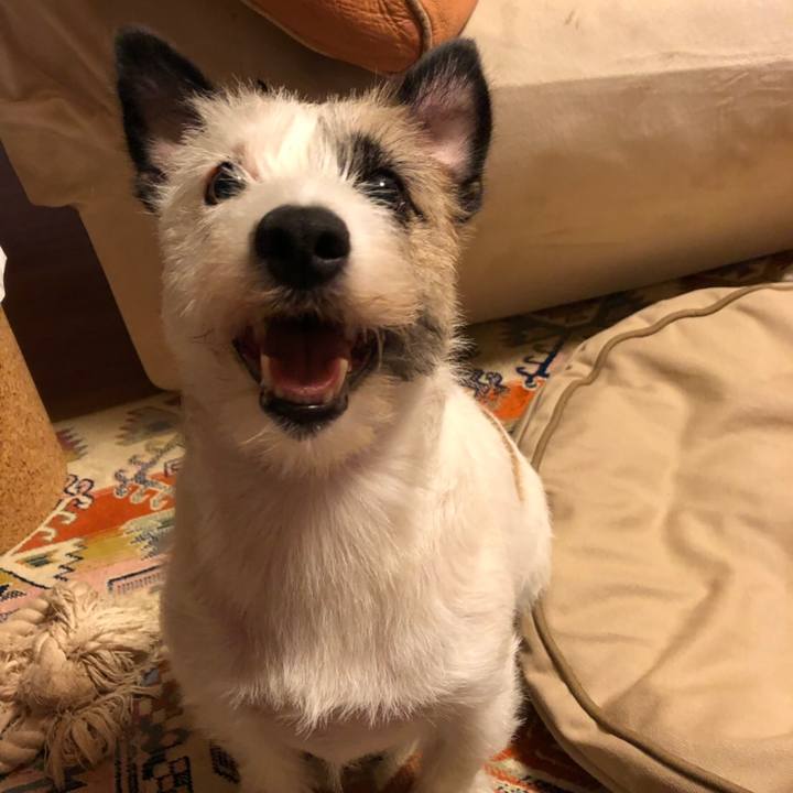 47b71efa 3c64 4fe9 8483 99871129b971 1563886024086