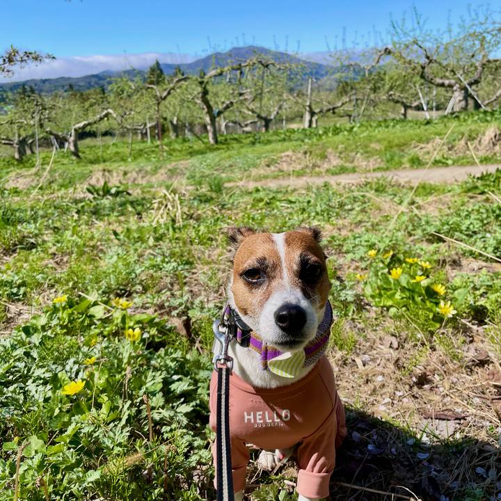 47b742f4 9db7 4dc3 b5a6 9abaab5d9d59 1745492462746