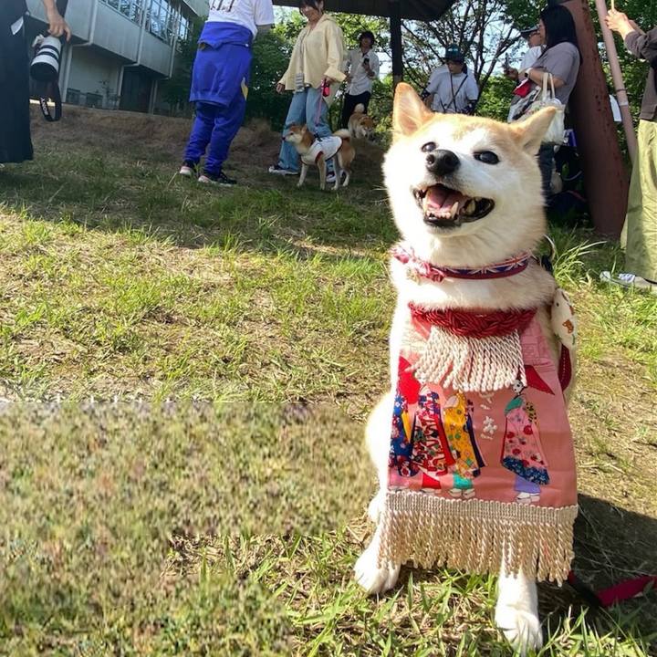 47b783ba 2308 4702 a875 cd70de61f689 1714479469156