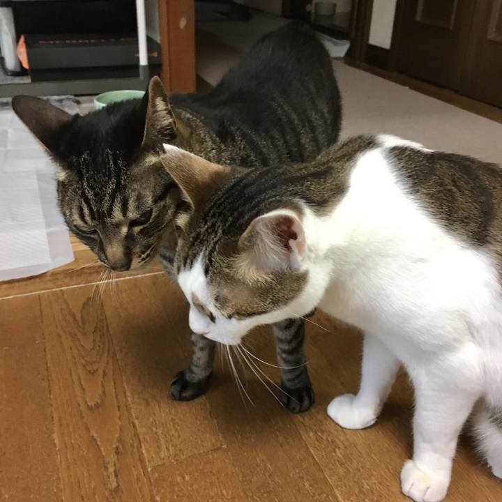 47b78c8f 4c23 4b97 86d8 53805ec309a3 1562240889641