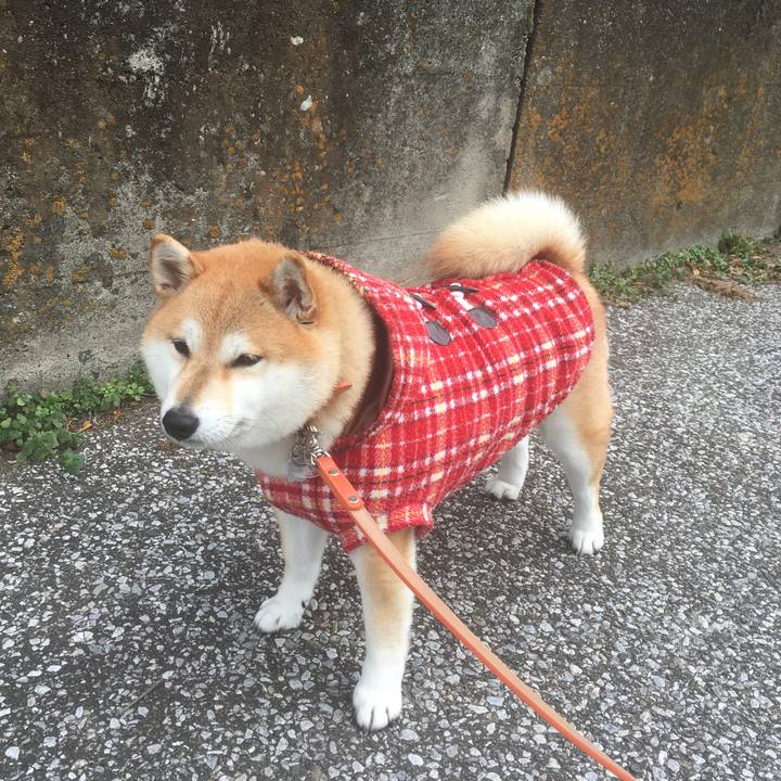 47b79288 d413 4084 8191 a0dea4918971 1544663062315