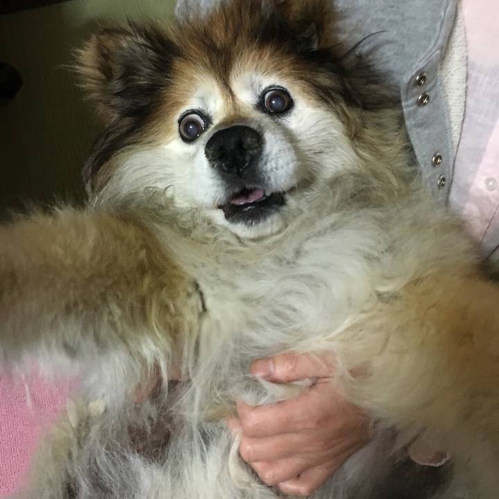 47b79416 9739 436c 98e1 9e2578177ff4 1556616233960