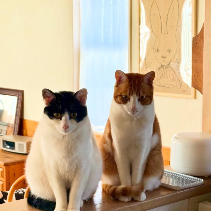 47b7c09d 3d78 45f6 888d 8cb2043acd2f 1772764884237