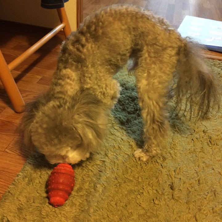 47b7d3f5 7108 4a9d ae2d 6ca46e8f3a04 1510142824014