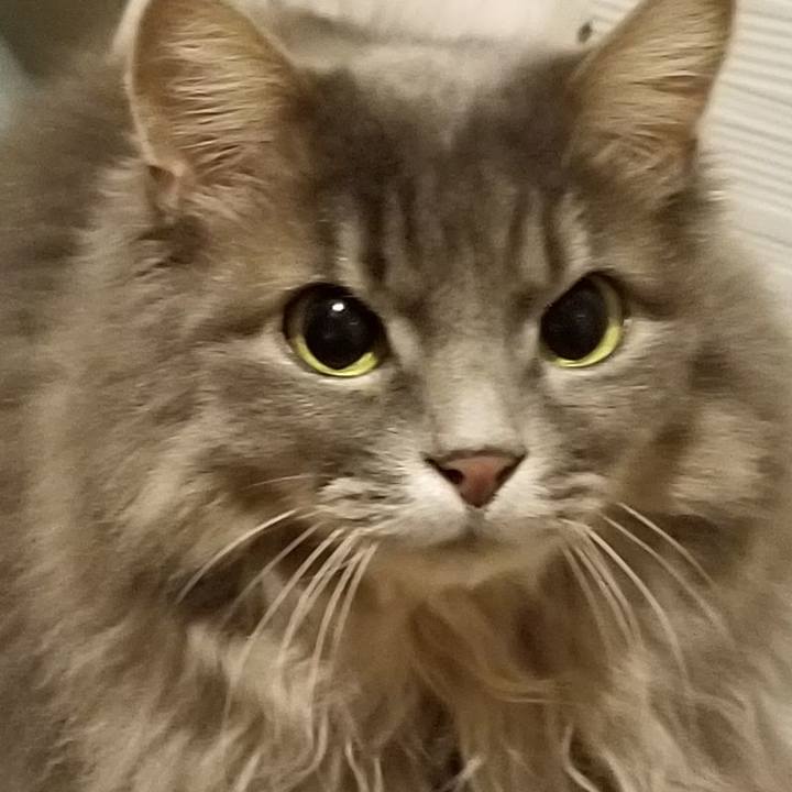 47b7e0f9 e424 43b4 baae 781d0727d7c9 1575709587584