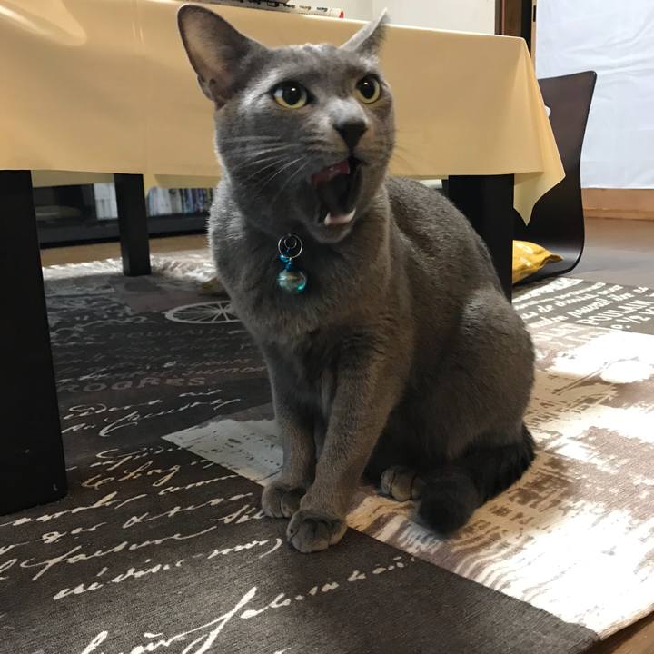 47b7ecbf e095 42a2 9ed0 448211da7977 1515367227755