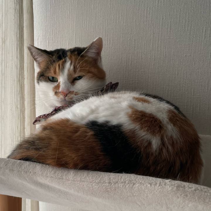 47b7f57c eab8 49f5 90ac 298b1f66b571 1735974320205