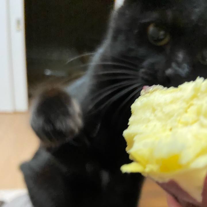 47b80022 4d62 4e08 8742 90a430f9eb75 1635162777734