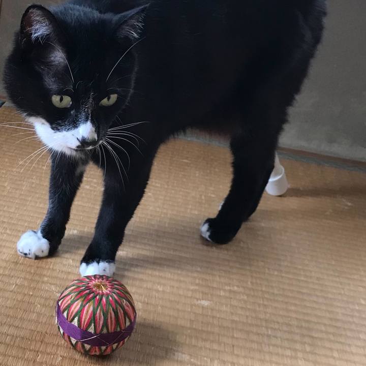 47b81970 8a45 4b9c 83fb c63172fb8887 1658893413450