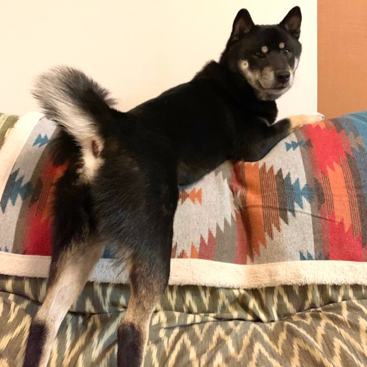 47b83e3d 670e 4522 86d1 d0100536b418 1577354683018