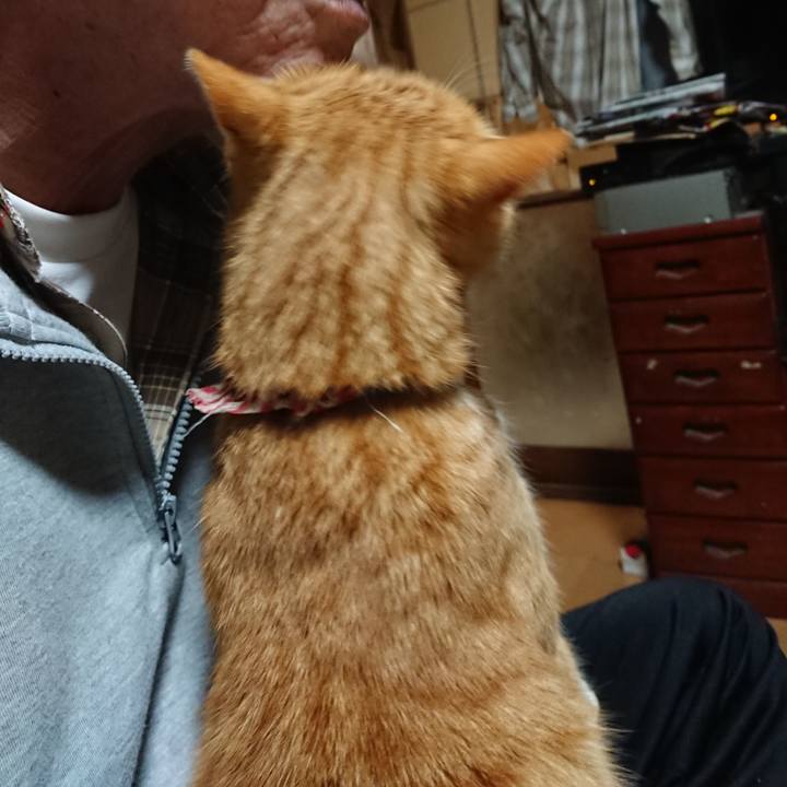 47b85a2c b44b 4797 a18f 839c098e70aa 1606679376282