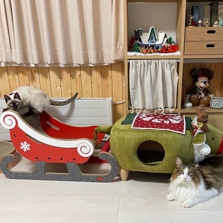 47b877e6 4f50 4767 96f0 1628fe441013 1701803778616