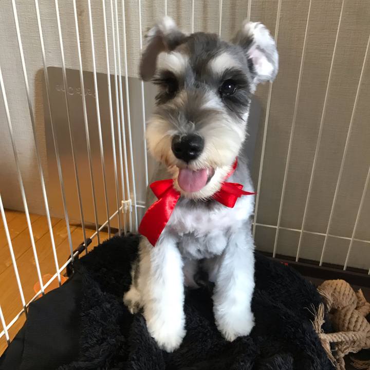 47b87d6f 1e53 4219 bbf1 15e912d64f59 1567478322042